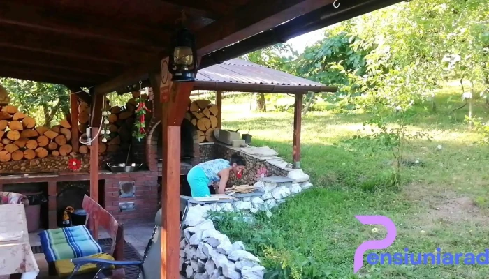 Pensiunea Dorel Codoban -  De La Vizitatori - Lazuri