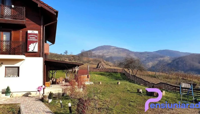 Pensiunea Dorel Codoban -  Exterior - Lazuri