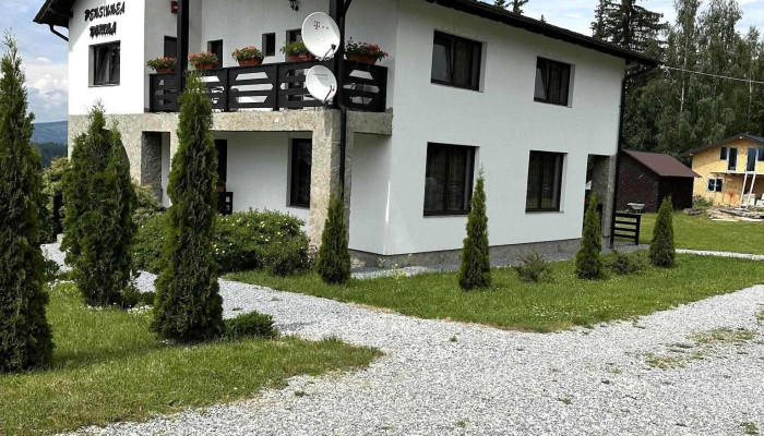Pensiunea Dorina -  Exterior - Neagra Șarului