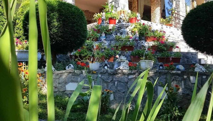 Pensiunea Două Raţe - Comarnic 105700