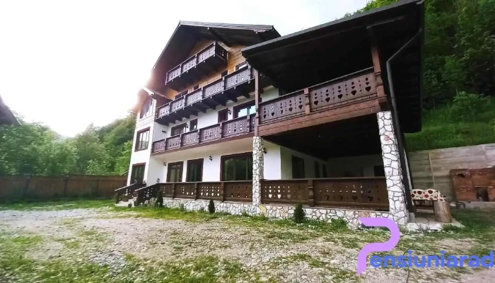 Pensiunea Drumul Iancului -  Exterior - Com