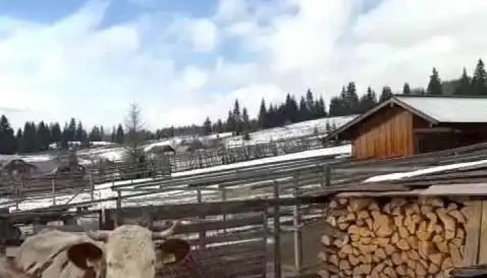 Pensiunea Eco Hunea -  Videoclipuri - Vatra Dornei