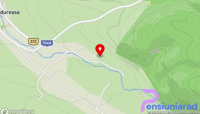 hartă a Pensiunea Eden Cazare, Bed & Breakfast în Budureasa