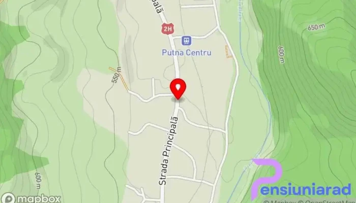 hartă a Pensiunea Elena Bed & Breakfast în Putna