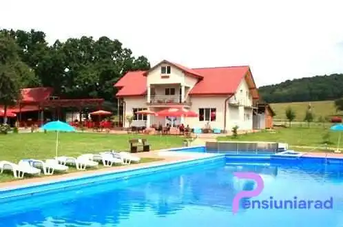 Pensiunea Elena Sebis -  Exterior - Sebiș