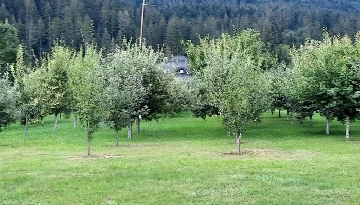 Pensiunea Elena -  Zonă - Putna