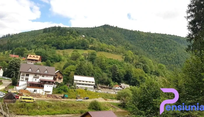 Pensiunea Felyviss -  Promoție - Albac