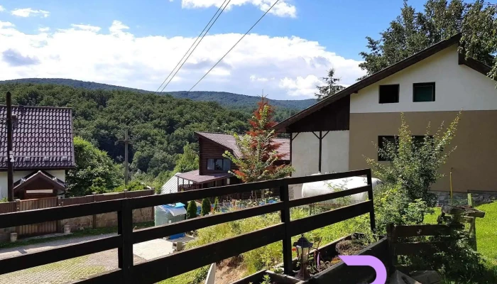Pensiunea Franzdorf Alpin -  Cabana - Văliug