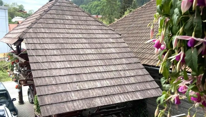 Pensiunea Gaiu -  Adresă - Albac