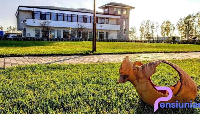 Pensiunea Georgia -  Exterior - Lungulețu