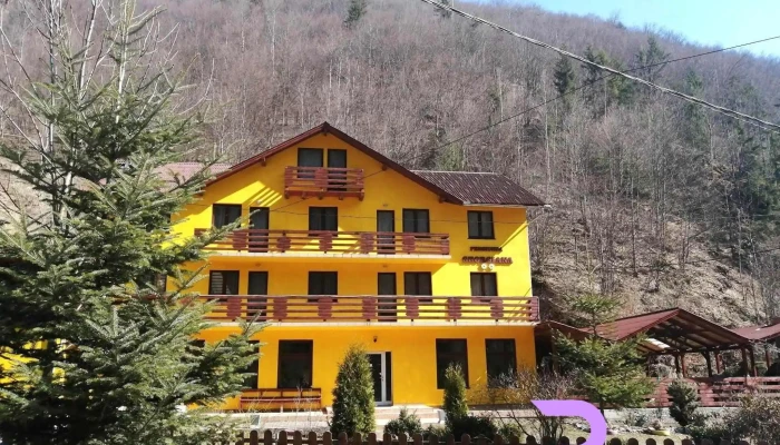Pensiunea Georgiana -  De La Proprietar - Măguri-răcătău