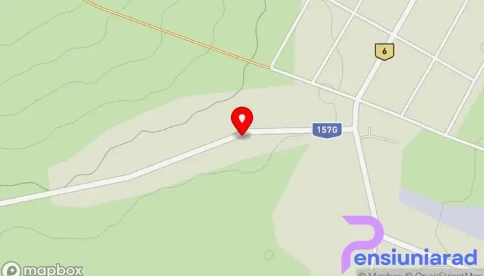 hartă a Pensiunea Georgiana Bed & Breakfast în Răucești