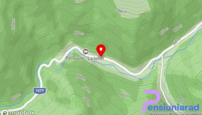 Pensiunea Georgiana -  Hartă - Măguri-răcătău