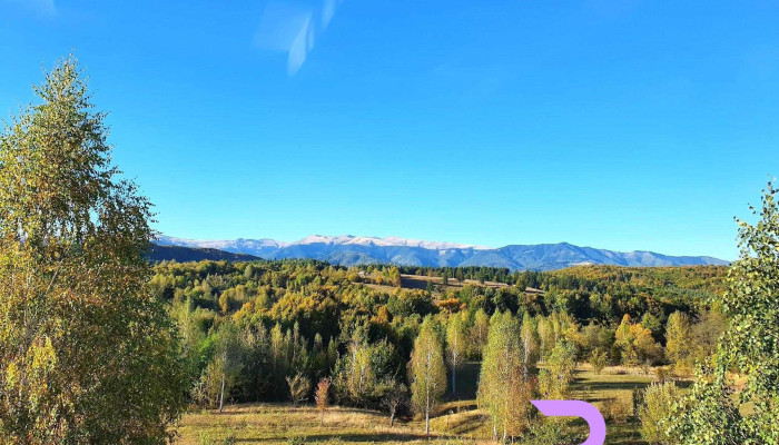 Pensiunea Gradina Ascunsa -  De La Vizitatori - Bughea De Jos