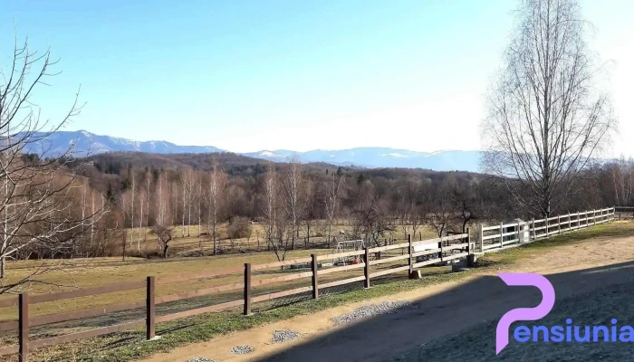 Pensiunea Gradina Mare -  Exterior - Bughea De Jos