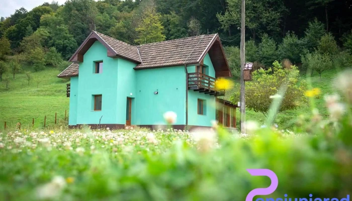 Pensiunea Green Rosia -  Exterior - Bihor