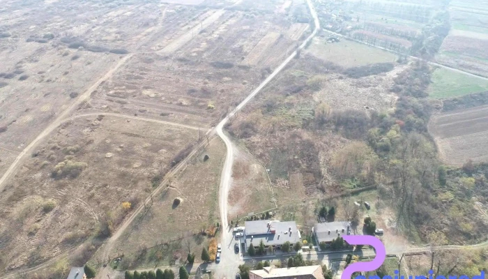 Pensiunea Gurasada Park -  Exterior - Gurasada Park Route