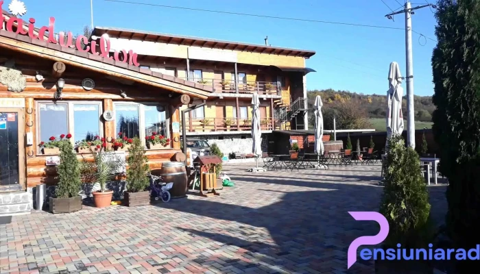 Pensiunea Haiducilor -  Exterior - Bistrița