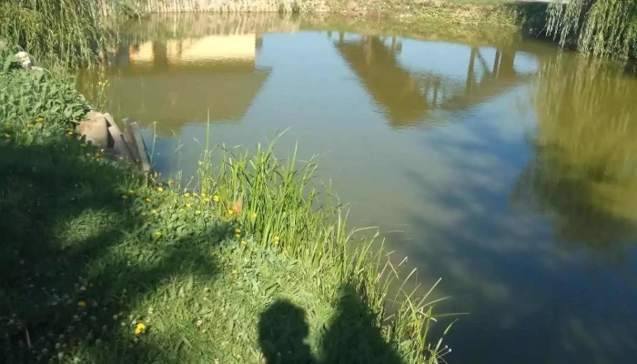 Pensiunea Hanul Lui Matei 2 -  Cabana - Sănduleni