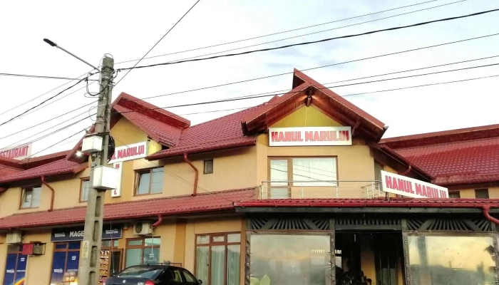 Pensiunea Hanul Marului Oncești - Oncești