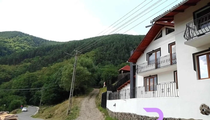 Pensiunea Hanzu Darius -  Exterior - Gura Râului