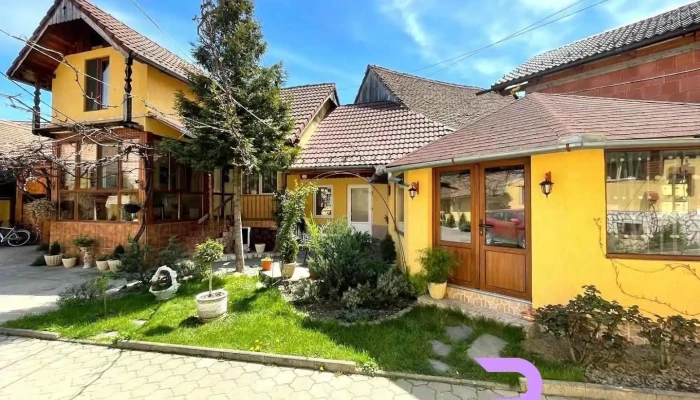 Pensiunea Hanzu Maria Ileana - Gura Râului