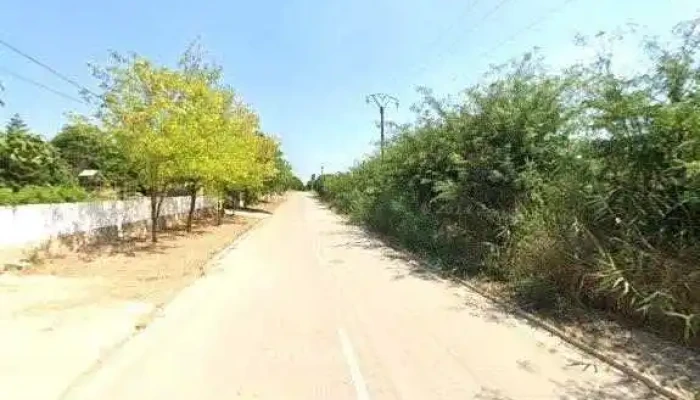 Pensiunea Happy Flowers -    Cazare Comuna Greci Street View Si 360deg - Greci