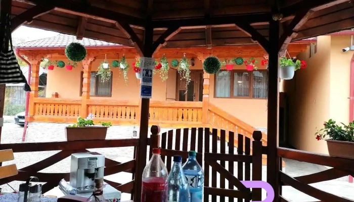 Pensiunea Ileana Sirbi, comuna Budesti - Sîrbi