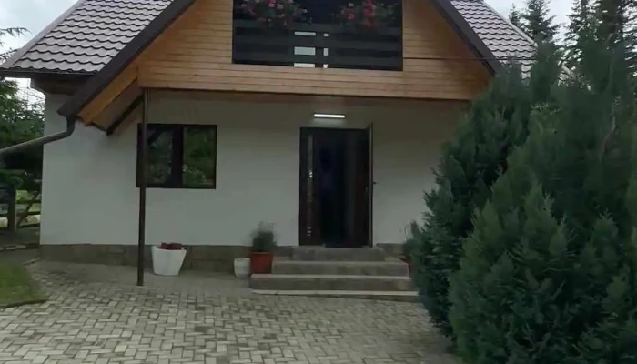 Pensiunea Ionela -  Exterior - Zemeș