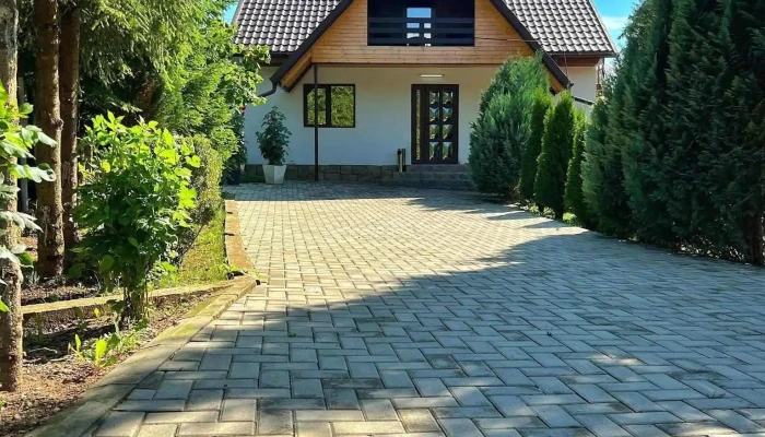Pensiunea Ionela -  Program - Zemeș