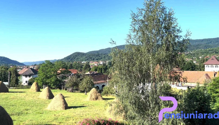 Pensiunea Irina -  Exterior - Corbeni