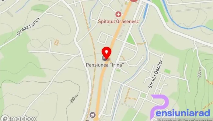 hartă a Pensiunea Irina Pensiune în Brad