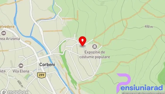 hartă a Pensiunea Irina Bed & Breakfast în Corbeni