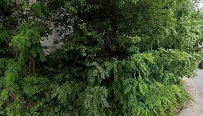 Pensiunea Iris2 -  Street View Si 360deg - Praid