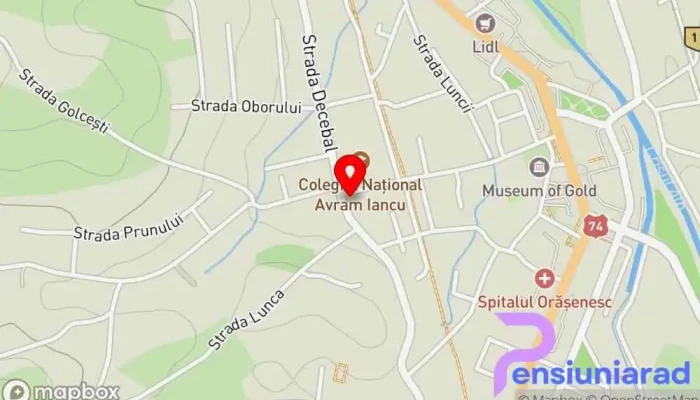 hartă a Pensiunea Juliana Restaurant, Cazare în Brad