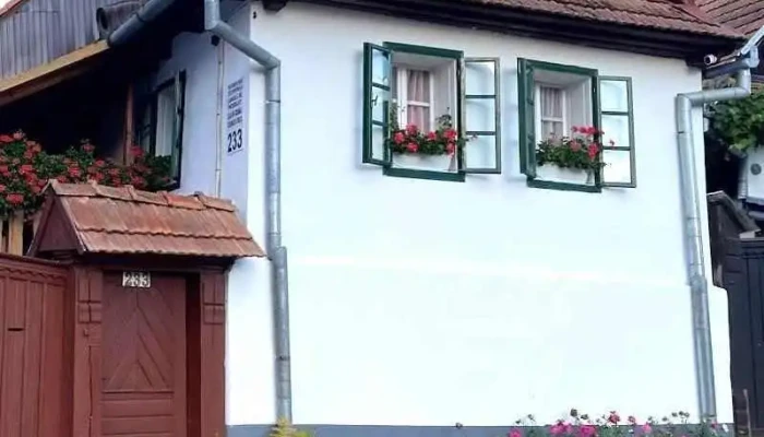 Pensiunea Kelemen Irén - Rimetea, Alba