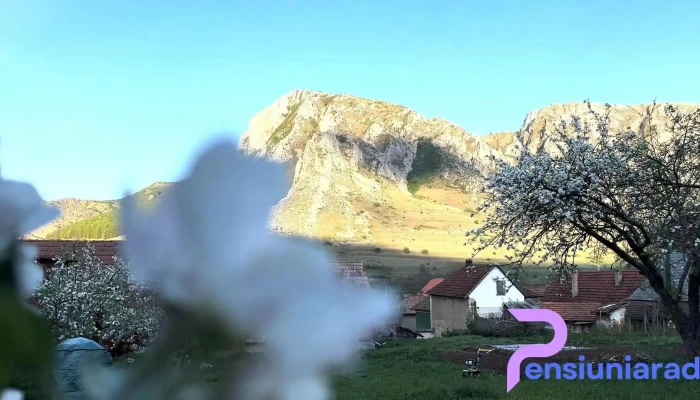 Pensiunea Kelemen Iren Videoclipuri - Rimetea, Alba