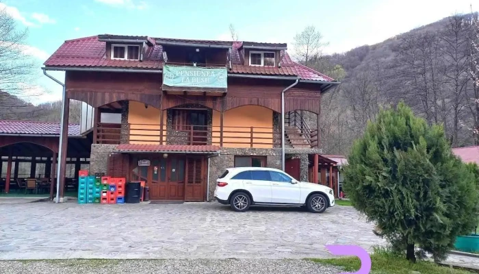 Pensiunea La Busu - Bozovici