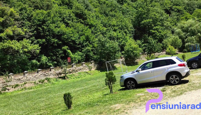 Pensiunea La Busu -  Exterior - Bozovici
