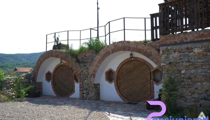 Pensiunea La Hotar -  Exterior - Buchin