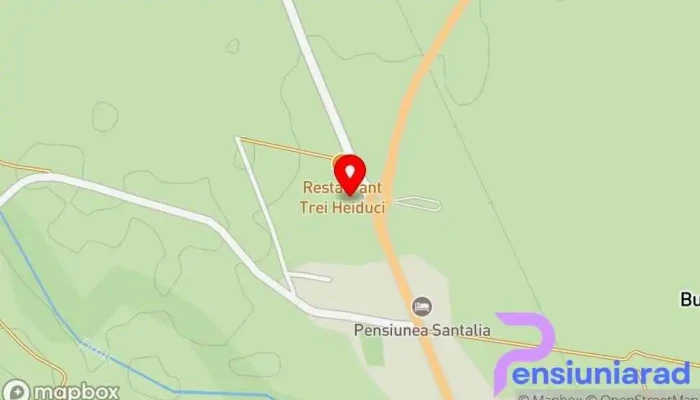 Pensiunea La Hotar -  Hartă - Buchin
