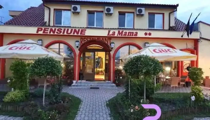 Pensiunea La Mama - Calea Borșului