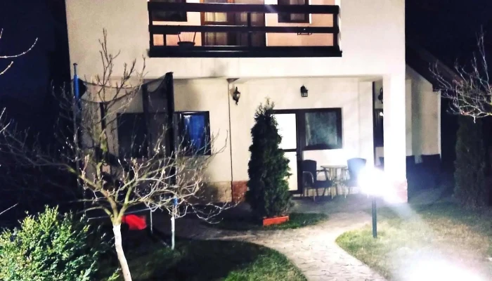 Pensiunea La Puiu -  Exterior - Afumați