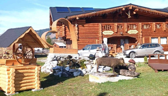 Pensiunea Laricea -  De La Proprietar - Panaci
