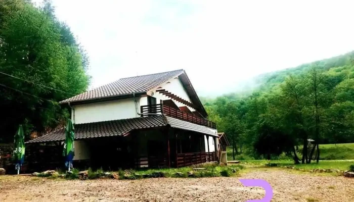Pensiunea Lavinia -  Exterior - Șuncuiuș
