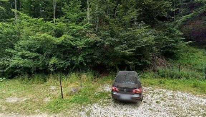 Pensiunea Liliana Cheile Dambovicioarei -  Street View Si 360deg - Dâmbovicioara