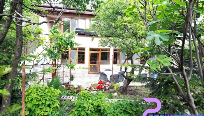 Pensiunea Lokanta -  Exterior - Daia