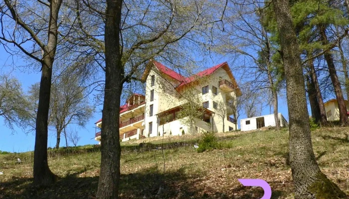 Pensiunea Lostrita -  Exterior - Buhalnița