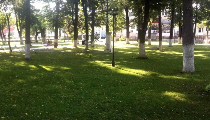 Pensiunea Luiza -  Reduceri - Bozovici