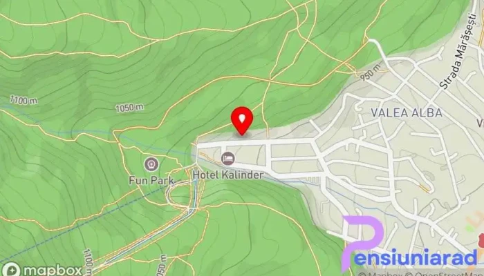 hartă a Pensiunea Luminița Busteni Bed & Breakfast în Bușteni
